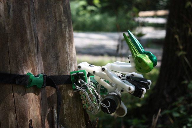 The Woodiest mounted to tree, at rest, listening
		 for the territorial drumming of the Pileated
		 Woodpecker. Robot artwork by Ian Ingram.