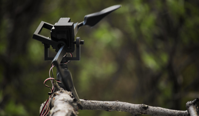 Nevermore-A-Matic perched in the arctic
		      wilderness near Kilpisjarvi, Finland, and wiping
		      its beak. The robot tells stories to ravens,
		      crows, and magpies about the end of the
		      world. Animal robot artwork by Ian Ingram.