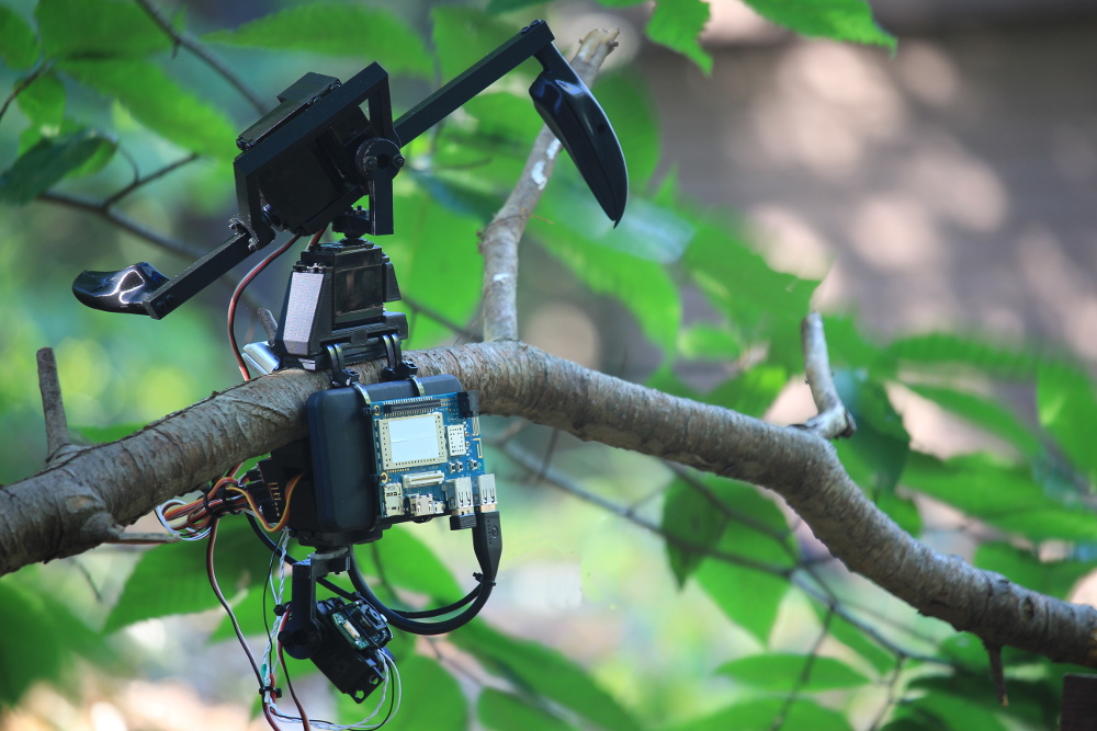 Nevermore-A-Matic perched on a branch in a
		 temperate forest in northeast North America, showing
		 whole of robot. Animal robot artwork by Ian Ingram.