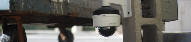 Still from Fine Feathered Friends, where the
		     robot, Cinderella, appraises urban pigeons.
		     Animal robot artwork by artist Ian Ingram.