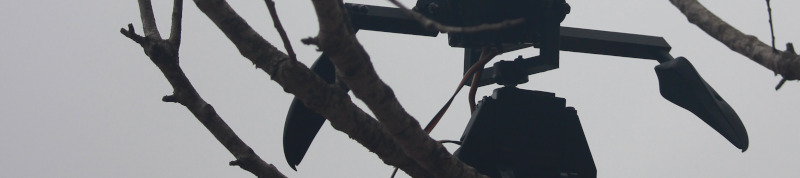 Black plastic robot Nevermore-A-Matic perched on
		a tree branch, silhouetted dark against the sky as it
		prepares to tell its next story to the ravens in the
		tree. Animal robot artwork by artist Ian Ingram.