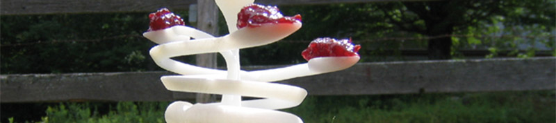 The Ants and the Plastic Plant, a plastic plant
		     rises from the grass with two dollops of jelly on
		     its leaves.  Separate species of ant follow
		     different ways up the object depending on their
		     shapes, sizes, and tendencies, finishing the
		     sculptural symbiosis with their paths of
		     bodies. Digitally-fabricated artwork by artist
		     Ian Ingram.